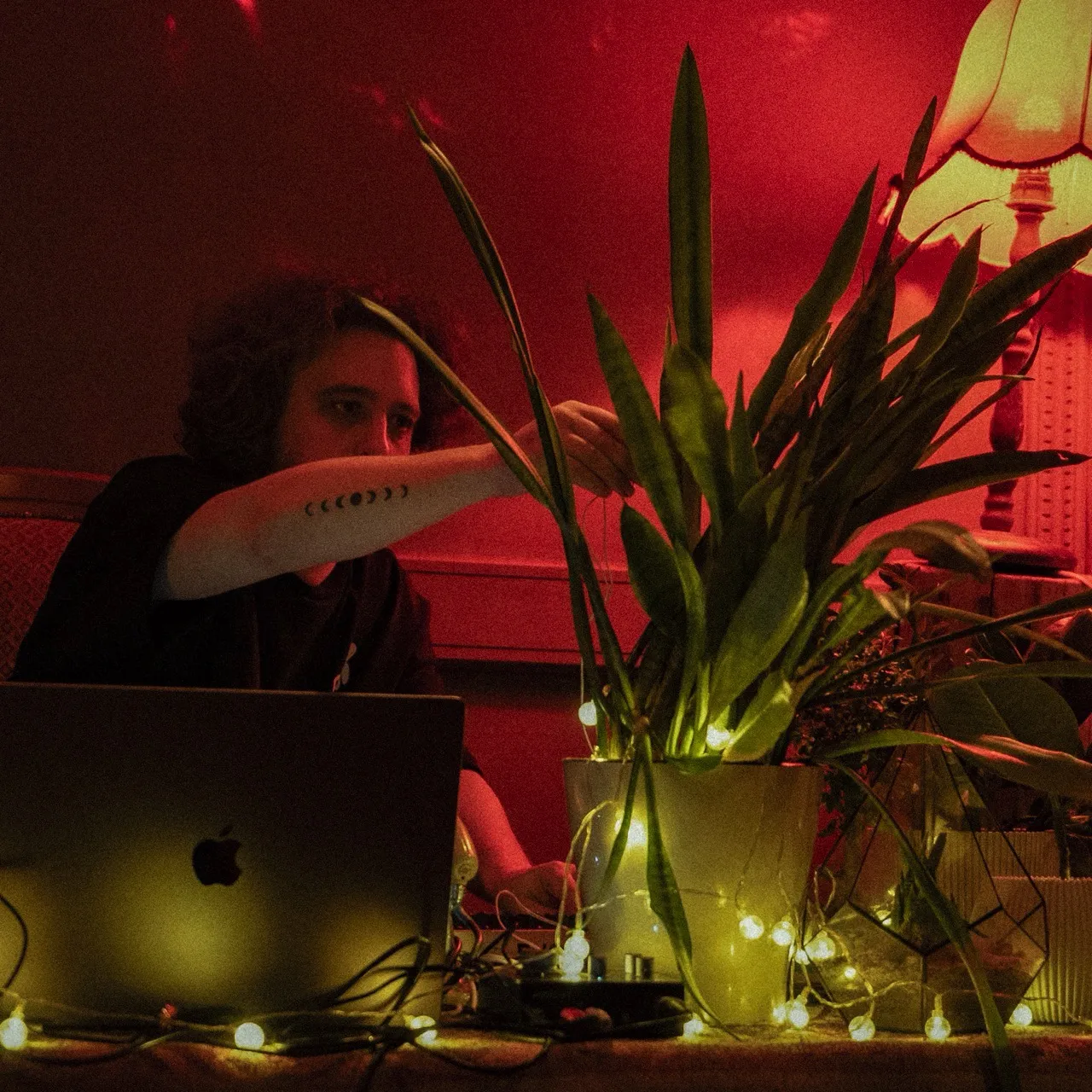 Rootone — live